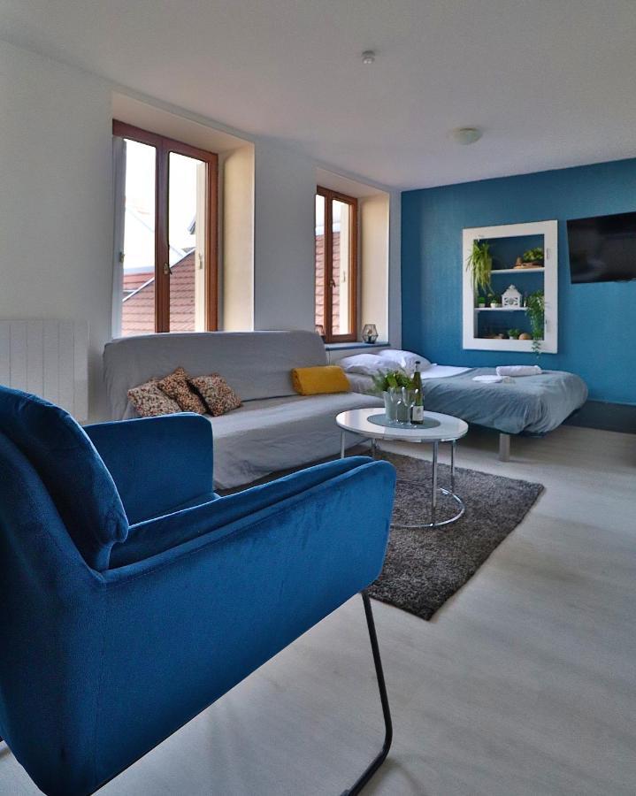 Studio De 30M² Hypercentre Tres Calme Montbeliard Ngoại thất bức ảnh